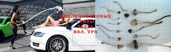 mdpv Арсеньев